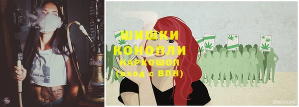 спайс Алзамай