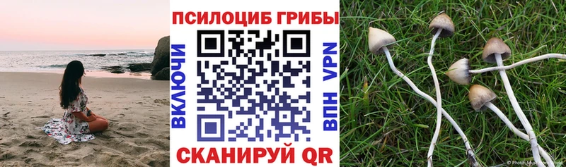 Псилоцибиновые грибы ЛСД  Тутаев 
