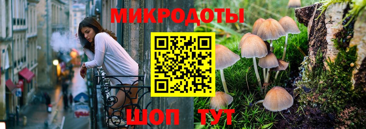Псилоцибиновые грибы мухоморы Тутаев