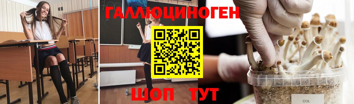 Галлюциногенные грибы GOLDEN TEACHER  Вход с VPN  Тутаев 