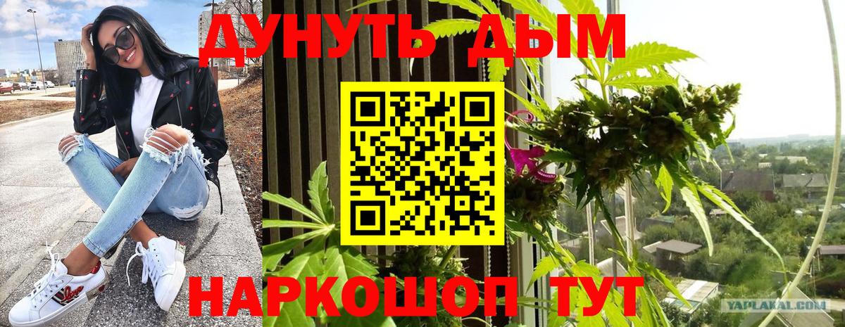 Канабис White Widow Тутаев